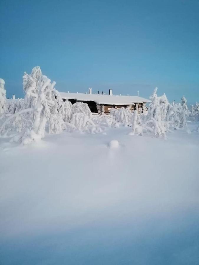 Sielikkö Aurora Log Apartments Saariselkä Exterior foto