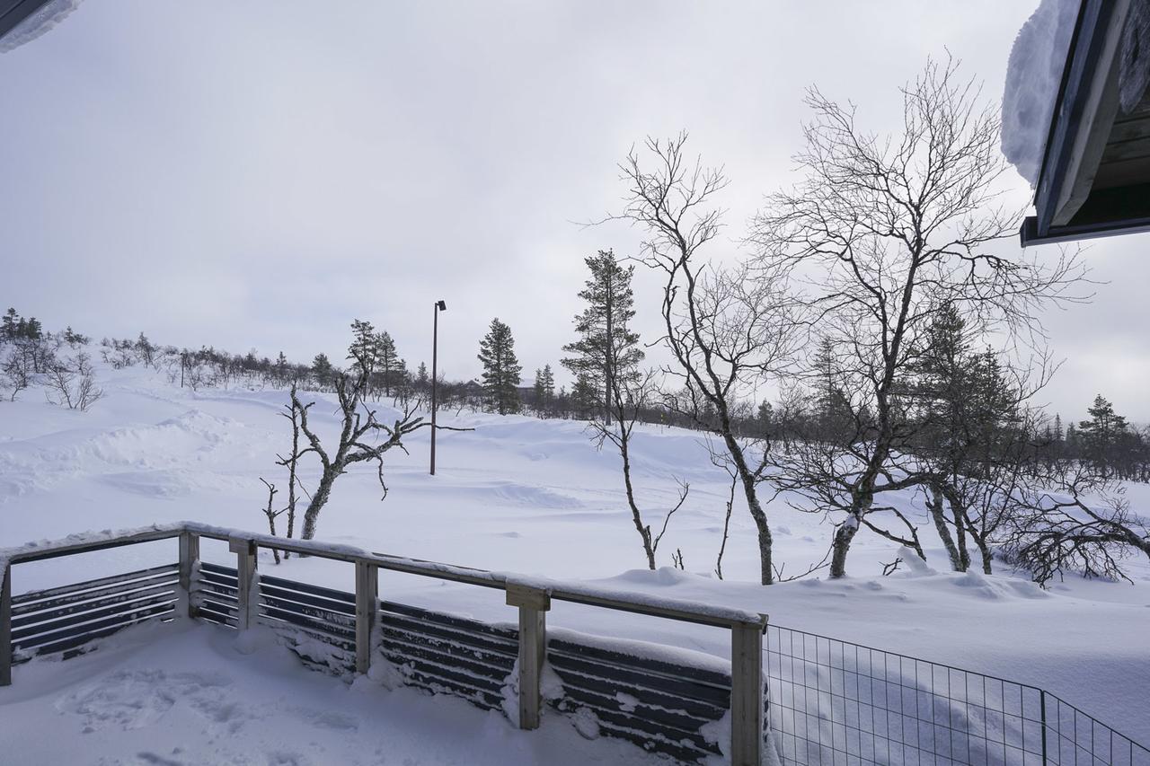 Sielikkö Aurora Log Apartments Saariselkä Exterior foto